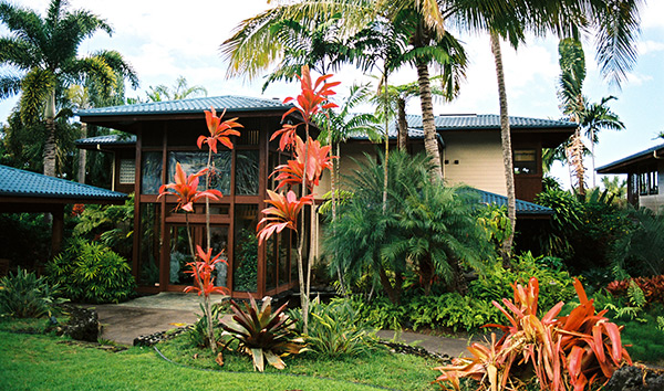 lahaina hawaii airbnb host