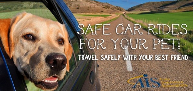Car Ride Safety Tips for Pets