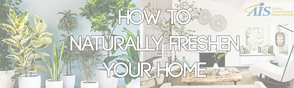 How to Naturally Refresh Your Homeâ€™s Smell