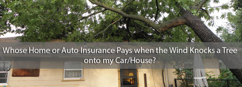 Homeowner's Insurance - Tree fallen on house