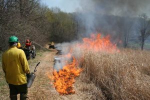 wild land firefighters controlled wildfires